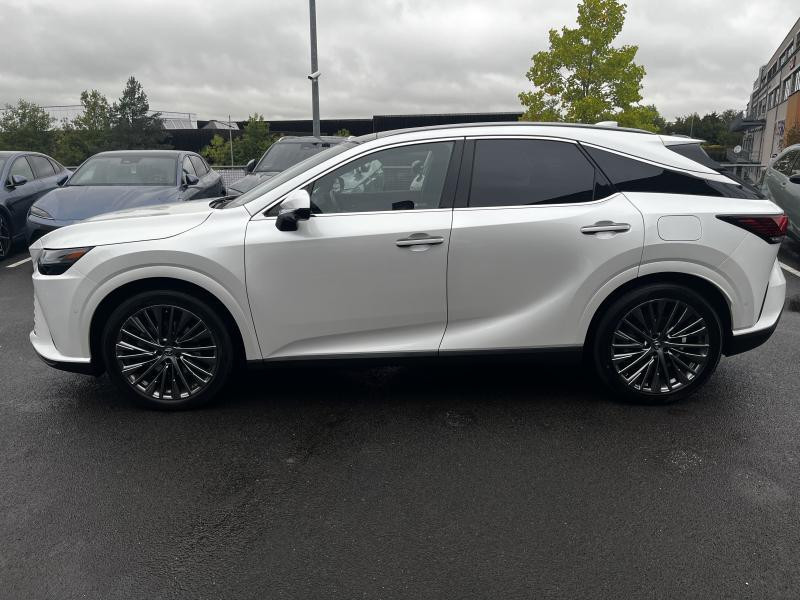 Occasion LEXUS RX 450h+ Privilege 2023 WHITE 57990 € à Bertrange