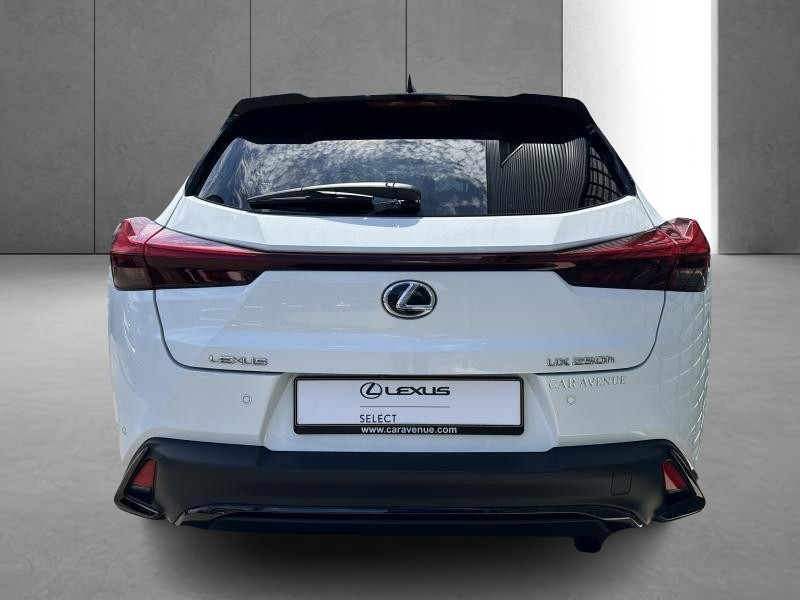 Occasion LEXUS UX 2.0L HEV F SPORT Design 2023 WHITE 37290 € à Bertrange