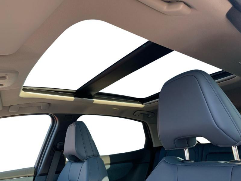 Used NISSAN Ariya EVOLVE 2025 GREY € 46690 in Schifflange