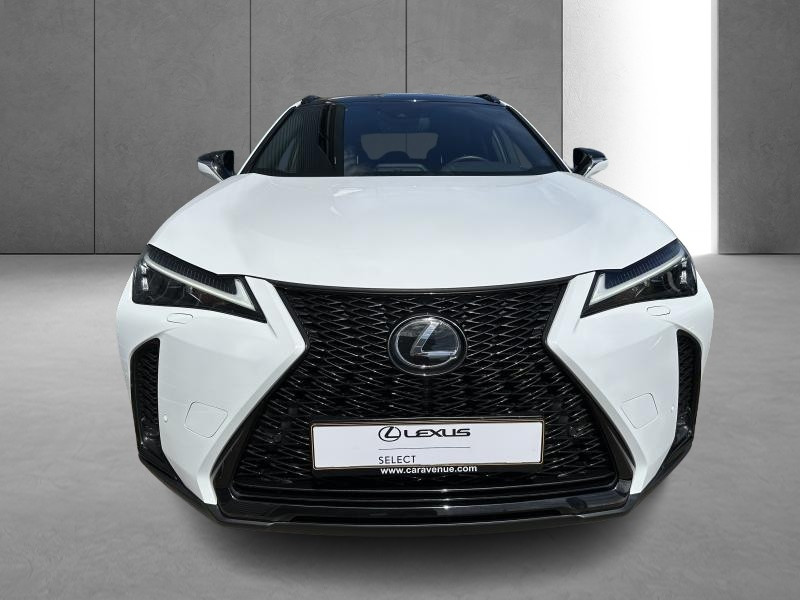 Occasion LEXUS UX 2.0L HEV F SPORT Design 2023 WHITE 37290 € à Bertrange