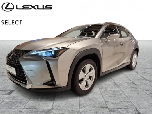 Occasion LEXUS UX Business Line 2023 GREY 28 990 € à Bertrange