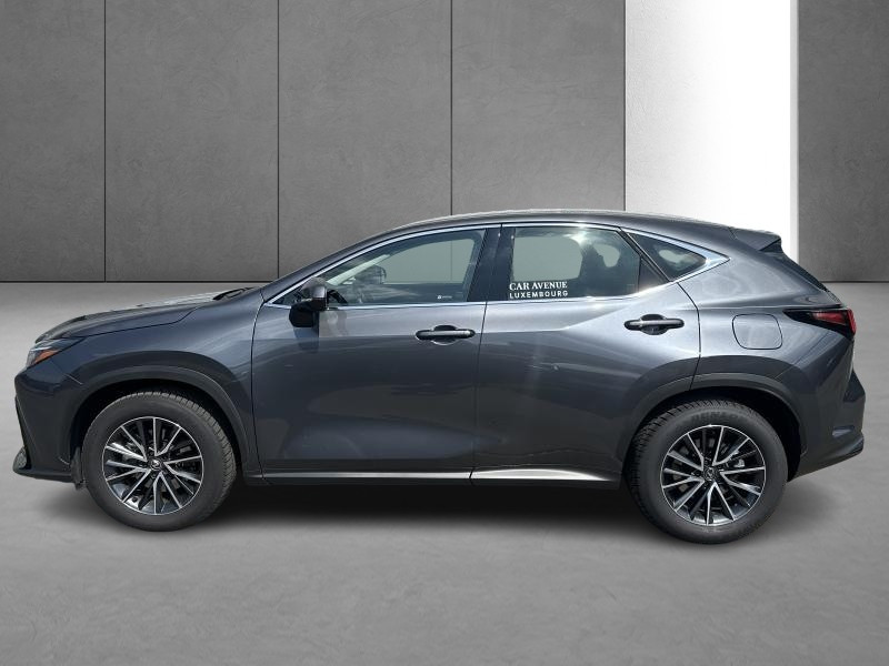 Occasion LEXUS NX 350h 2.5 Hybride Business Line 2023 GREY 45990 € à Bertrange