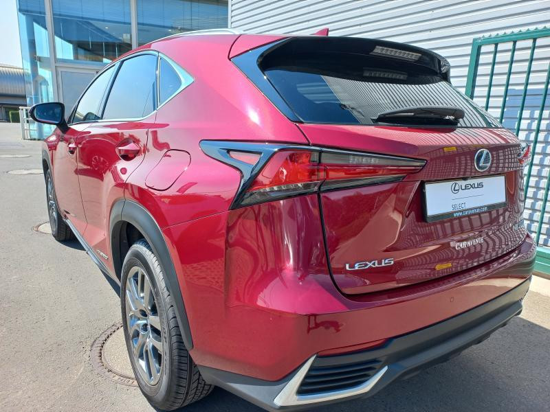 Used LEXUS NX 2500 Executive 2020 BURGUNDY € 31990 in Bertrange