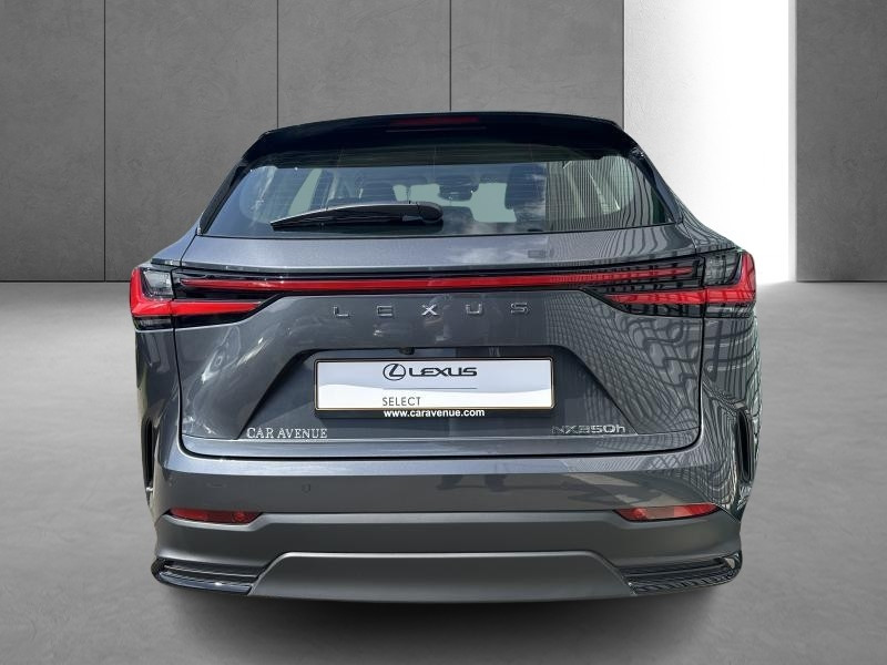 Occasion LEXUS NX 350h 2.5 Hybride Business Line 2023 GREY 45990 € à Bertrange