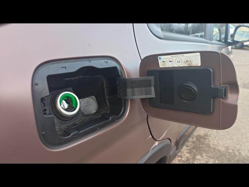 Used FIAT Panda 0.9 8v TwinAir 85ch S&S Trussardi Euro6D 2019 Café Mat € 10990 in Nancy