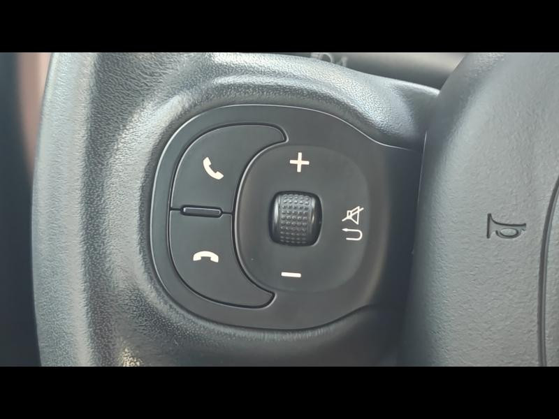 Used FIAT Panda 0.9 8v TwinAir 85ch S&S Trussardi Euro6D 2019 Café Mat € 10990 in Nancy