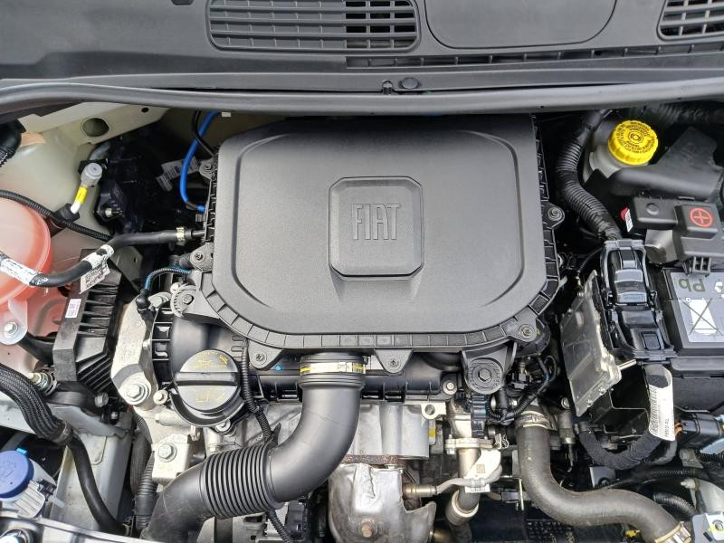 Occasion FIAT Panda 1.0 70ch BSG S&S City Life 2021 Blanc 10086 € à Saint-Dié-des-Vosges