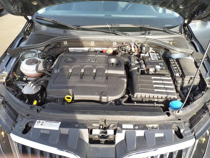 Used SKODA Octavia 1.6 TDI 116ch SCR Business DSG7 Euro6d-T 2019 Bleu Energie € 15990 in Saint-Dié-des-Vosges