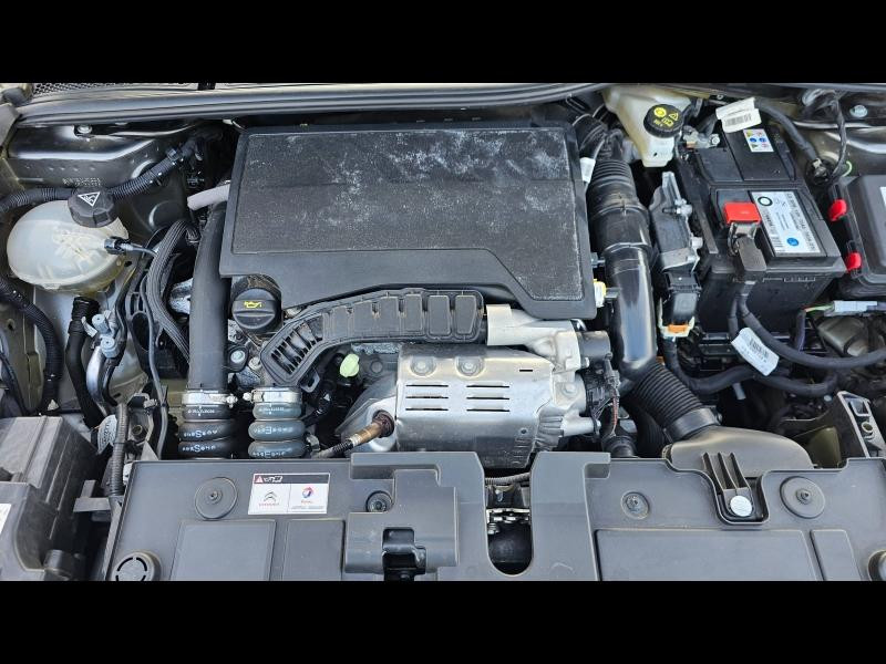 Used CITROEN C4 PureTech 130ch S&S Shine EAT8 2021 Gris Platinium (M) € 17590 in Saint-Dié-des-Vosges