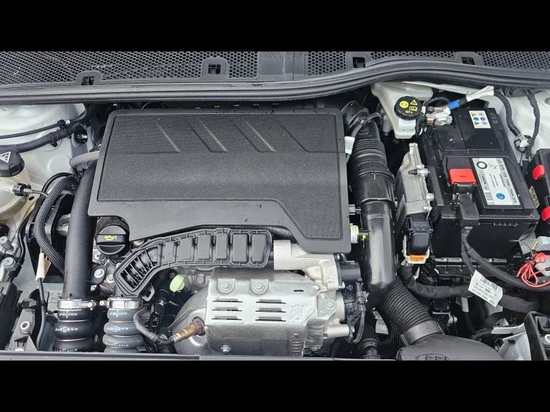 Used OPEL Corsa 1.2 Turbo 100ch Edition BVA 2021 Blanc Jade € 14990 in Saint-Dié-des-Vosges