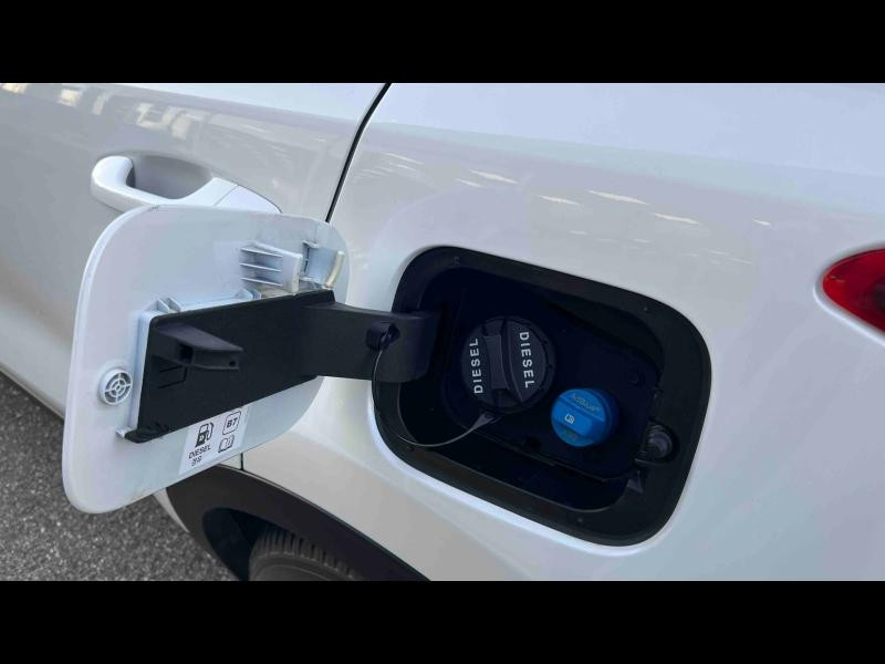 Occasion KIA Sportage 1.6 CRDi 115ch ISG Motion 4x2 2019 Blanc Platine 18906 € à Lunéville