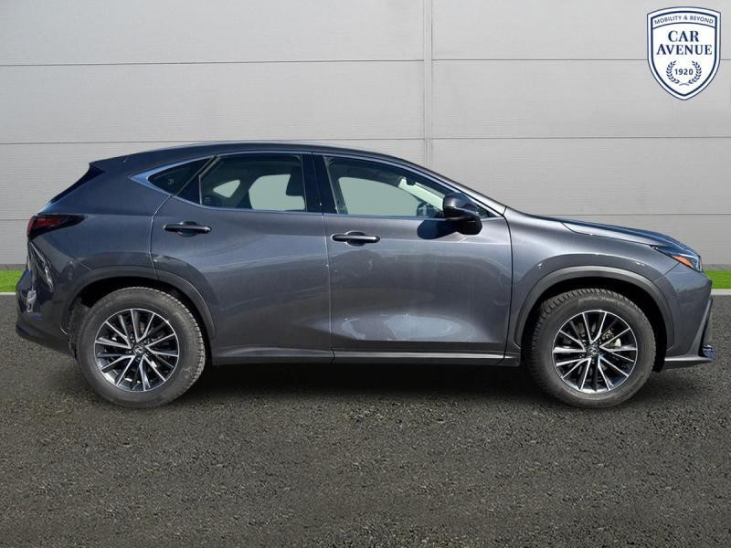 Occasion LEXUS NX 350h Hybrid Business Line 2024 GREY 47990 € à Diekirch